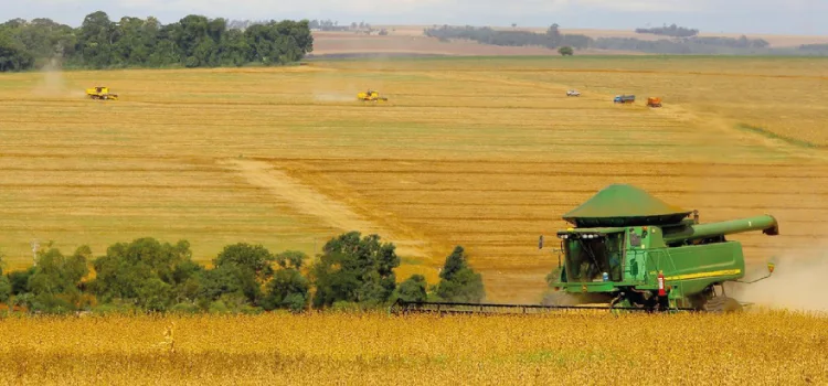 Paraná deve colher 23,9 milhões de toneladas de grãos