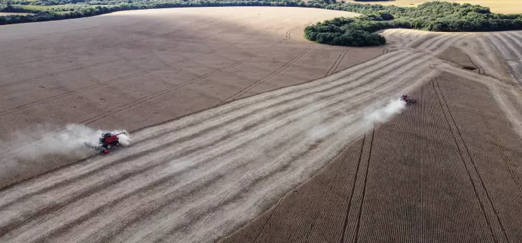 Paraná deve produzir 38,6 milhões de toneladas de grãos na safra 2020/21