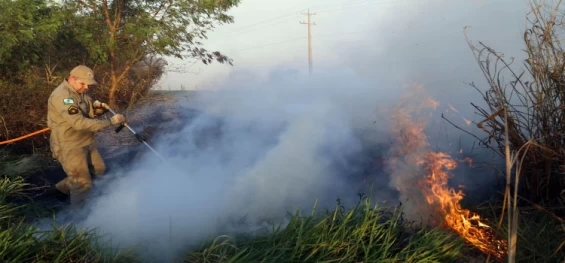 PARANÁ: Estado lança nesta semana campanha de prevenção e combate a incêndios florestais.