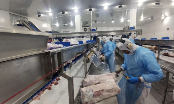 Paraná exporta mais alimentos que países como Japão, Portugal e Coreia do Sul