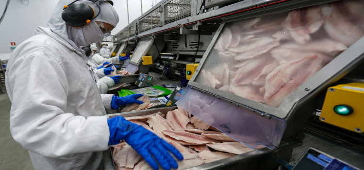 Paraná lidera produção e exportação nacional de carne de peixe.