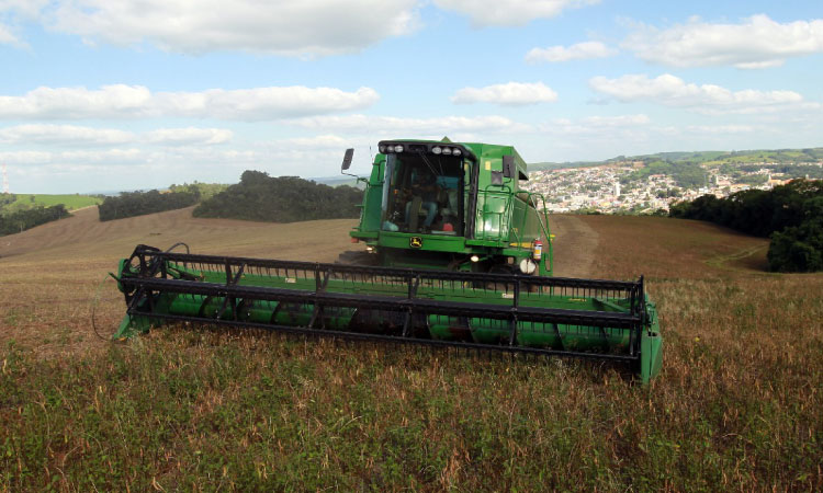 Paraná lidera produção e importação de feijão, e começa a expandir exportação do produto