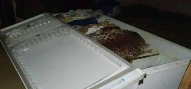 PARANÁ: Mulher é encontrada morta dentro de geladeira em Janiópolis.