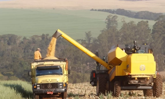 Paraná projeta maior safra de milho da história em 24/25, mesmo com perdas climáticas