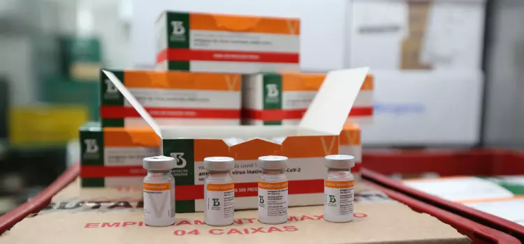 Paraná recebe novo lote com 258,4 mil doses de vacinas contra Covid-19