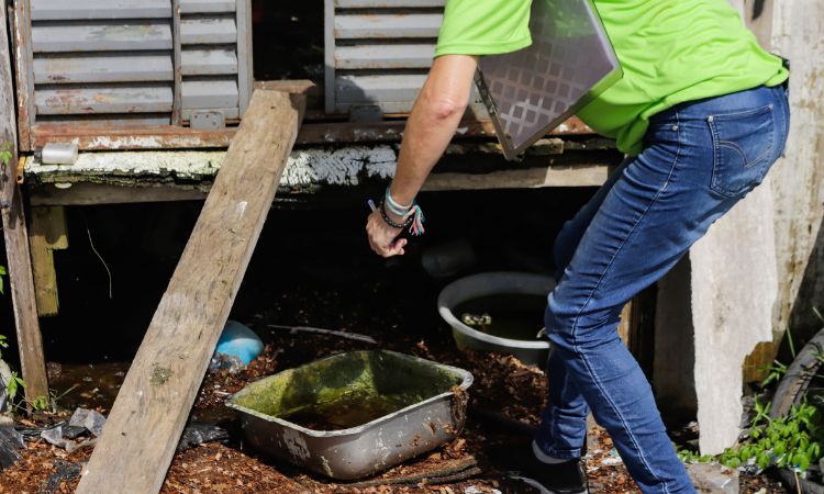 Paraná registra queda superior a 80% em casos e mortes por Dengue em 2025 Paraná registra queda superior a 80% em casos e mortes por Dengue em 2025