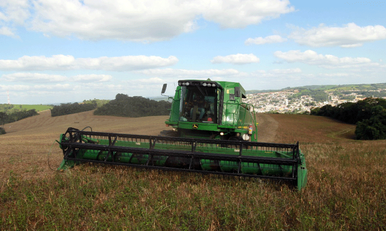 Paraná tem participação fundamental para aumento da safra de feijão no País