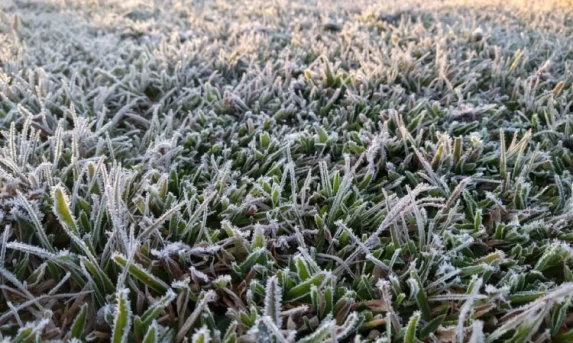 Paraná terá geada, chuva congelada e queda nas temperaturas nos próximos dias