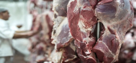 PECUÁRIA: Exportação de carnes se aproxima de recorde, mas receita pode ser menor.
