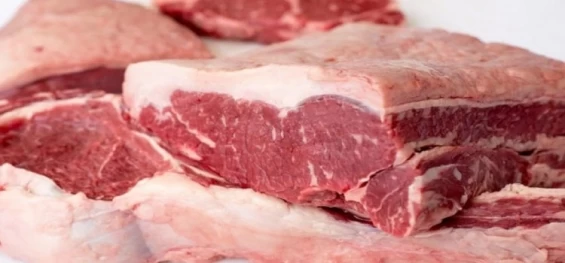 PECUÁRIA: Produção de carne bovina em 2023 bate recorde, segundo IBGE.