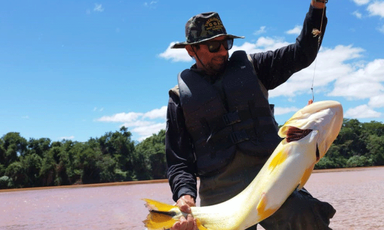 Piracema: proibição de pesca predatória na Bacia do Rio Paraná começa na sexta-feira