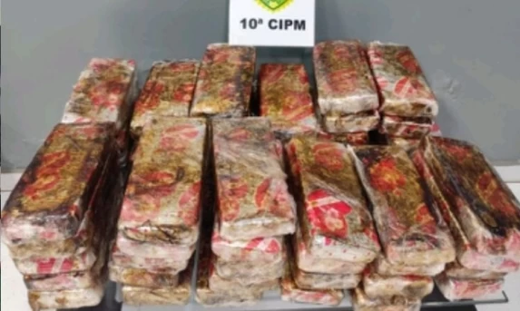 PM apreende mais de 40 kg de maconha em ônibus na rodoviária de Laranjeiras do Sul