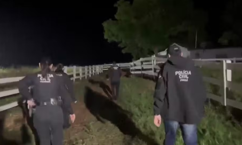 Polícia Civil desmantela quadrilha especializada em furto de gado que causou prejuízo de R$ 10 milhões no Paraná