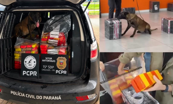 POLÍCIA CIVIL E RECEITA FEDERAL APREENDEM MAIS DE 141 QUILOS DE MACONHA EM AÇÃO INTEGRADA EM CASCAVEL