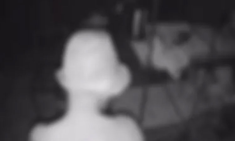 Polícia Civil instaura inquérito para apurar abuso sexual contra galinhas em Cascavel