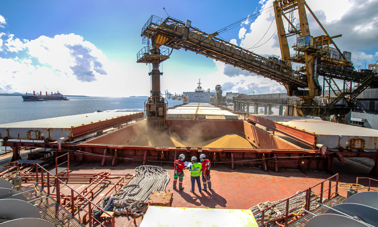 Portos do Paraná batem recorde de movimentação no primeiro semestre de 2024.