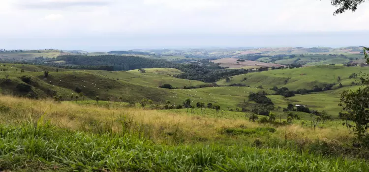 Preço de terras agrícolas subiu mais de 50% no Paraná