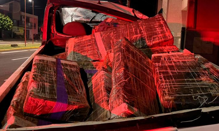 PREJUÍZO MILIONÁRIO: PMPR apreende mais de 5 toneladas de maconha em megaoperações no Oeste