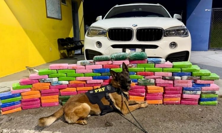 PRF apreende 136 kg de cocaína escondidos em BMW na BR-277, no Paraná