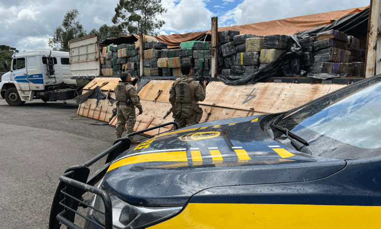 PRF apreende em Guarapuava uma grande quantidade de maconha em caminhão.