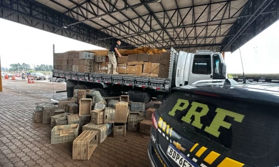 PRF apreende mais de 19 mil unidades de cigarros eletrônicos em Cascavel