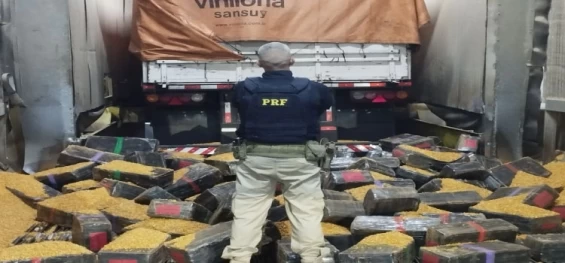 PRF apreende mais de 2 toneladas de maconha em meio a carga de milho.