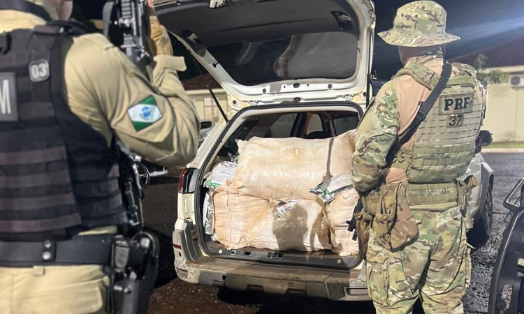 PRF apreende veículo carregado com agrotóxicos contrabandeados na BR-163 em Toledo (PR)