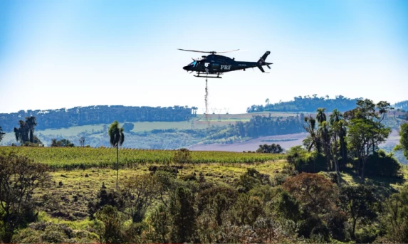 PRF realiza semeadura aérea de 18 toneladas de sementes de palmeira-juçara no Paraná