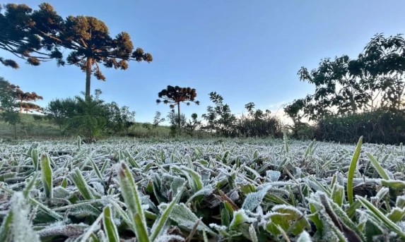Primeira onda de frio chega ao Paraná semana que vem com termômetros perto de 0ºC.