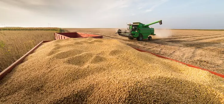 Produção de grãos pela primeira vez na história deve superar 270 milhões de toneladas