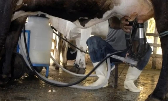 Produção de leite bate recorde no Brasil, mesmo com redução no número de vacas ordenhadas
