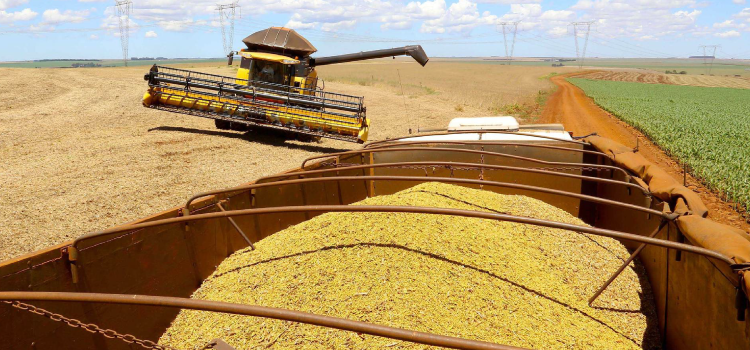 Safra de grãos 2020/21 deve chegar a 38 milhões de toneladas no Paraná