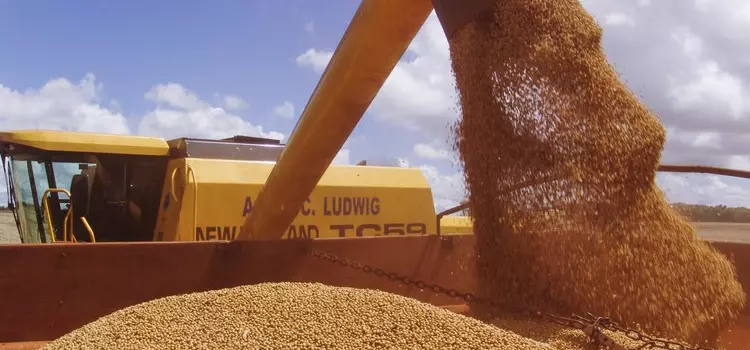 Safra de grãos deve chegar a 262,13 milhões de toneladas