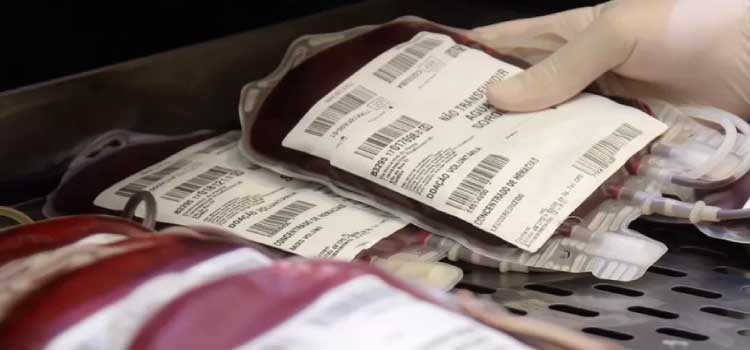 SAÚDE: Bancos de sangue do Paraná enfrentam estado crítico nos estoques.