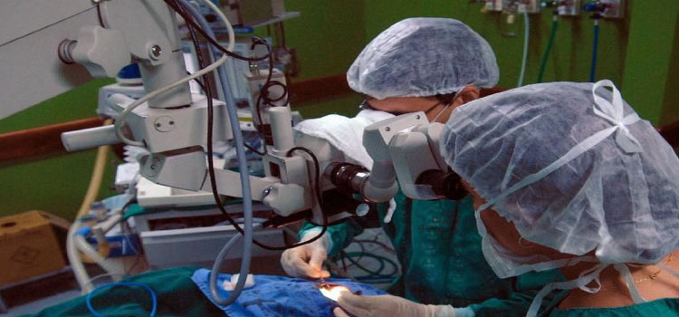 SAÚDE: Hospitais universitários são referência em transplantes de órgãos.