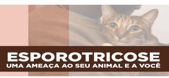 SAÚDE: Paraná é o primeiro estado a oferecer medicamento para tratar animais com esporotricose.