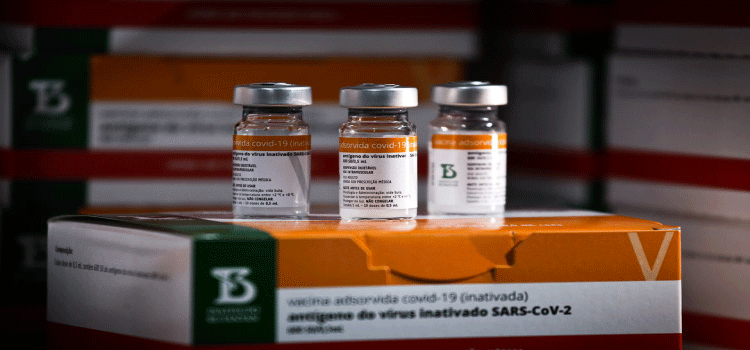 Saúde: Saúde distribui cerca de 1 milhão de vacinas contra a covid-19.