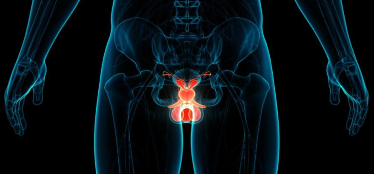 SAÚDE: Silenciosos, sintomas iniciais de câncer de próstata não são perceptíveis.