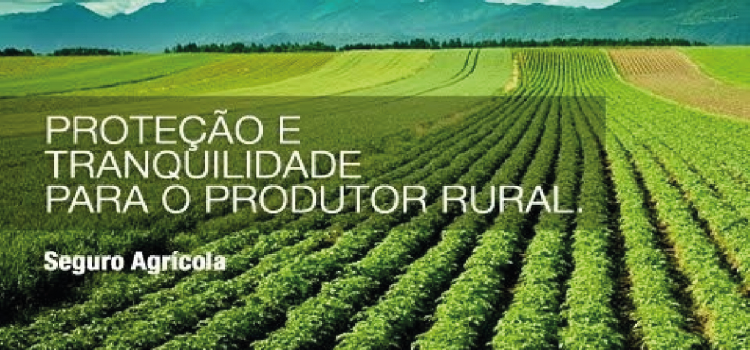 SEGURO RURAL: Indenizações pagas no Brasil caem 5,5% no 1º semestre a R$1,7 bilhões.