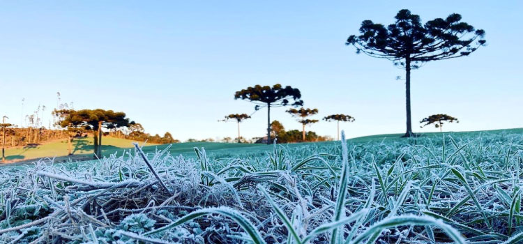 Simepar prevê inverno com poucas ondas de frio, veranicos, nevoeiros e geadas.