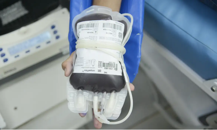 STF confirma direito de recusar transfusão de sangue por religião