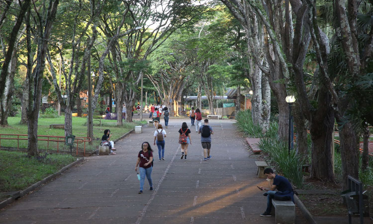 Sucesso na 1ª edição: Aprova Paraná Universidades inicia matrículas nesta quarta