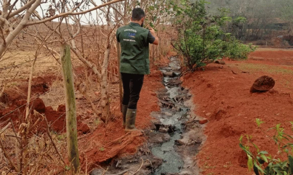 Suinocultor é multado em R$ 100 mil por infração ambiental em córrego de Toledo