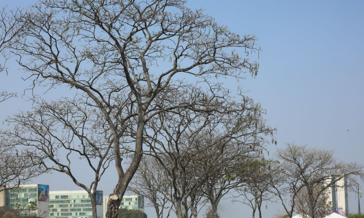 Tempo e Clima: Inmet emite alerta laranja de baixa umidade para dez estados e aviso de tempestades severas no Sul