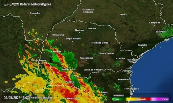 Temporal derruba árvore na BR-277 próximo a Catanduvas.