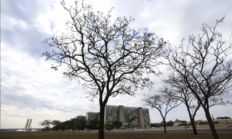 Terça-feira registra calor extremo, alerta de baixa umidade e tempestades no Sul do país