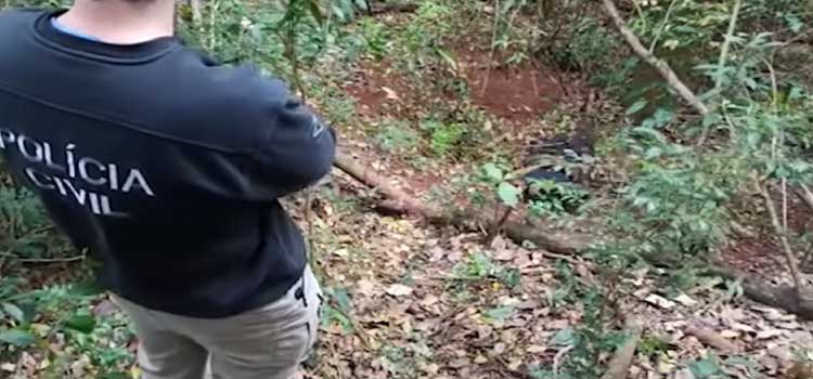 TOLEDO: Corpo de mulher em decomposição é encontrado por trabalhadores em mata.