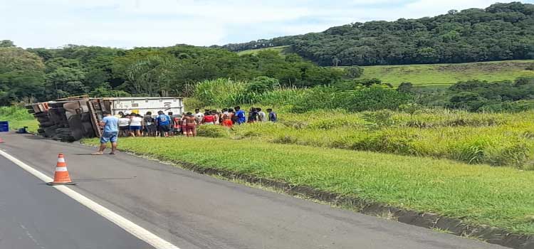 TRÂNSITO: Após tombamento de carreta contêiner indígenas saqueiam carga de pneus na BR-277