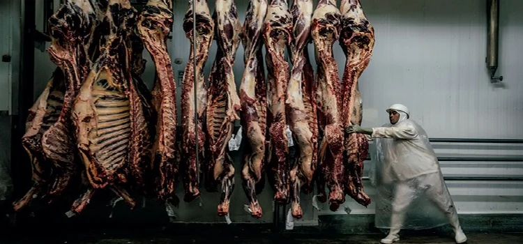 VACA LOUCA: Mais quatro países suspendem compras de carne do Brasil após novo caso