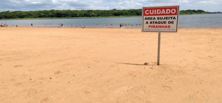 VERÃO: Bombeiros reforçam alertas sobre ataques de piranhas nas praias da Costa Oeste